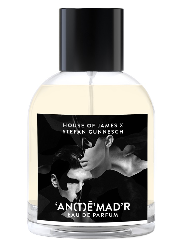 An(t)ē’mad’r – House Of James