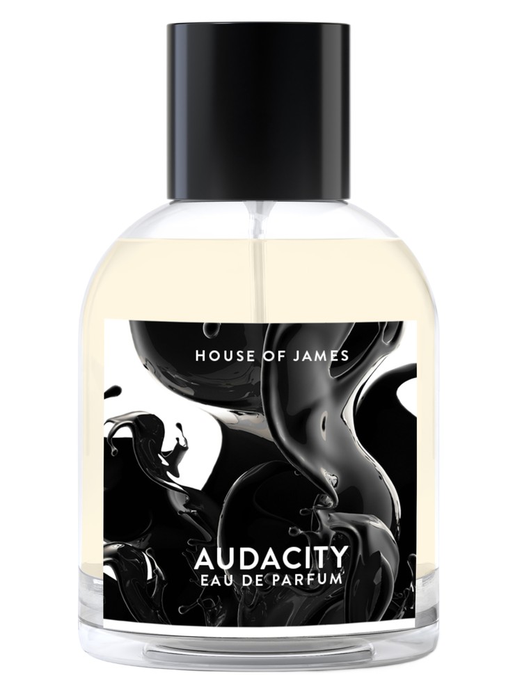 Audacity – House Of James