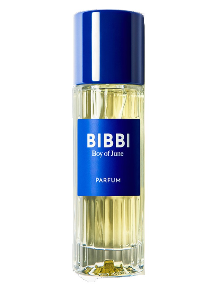 Boy of June – Bibbi Paris