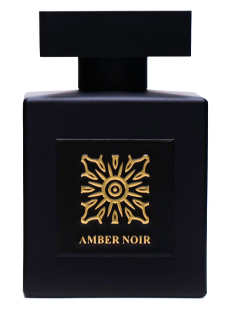 Amber Noir – Camille Rochelle