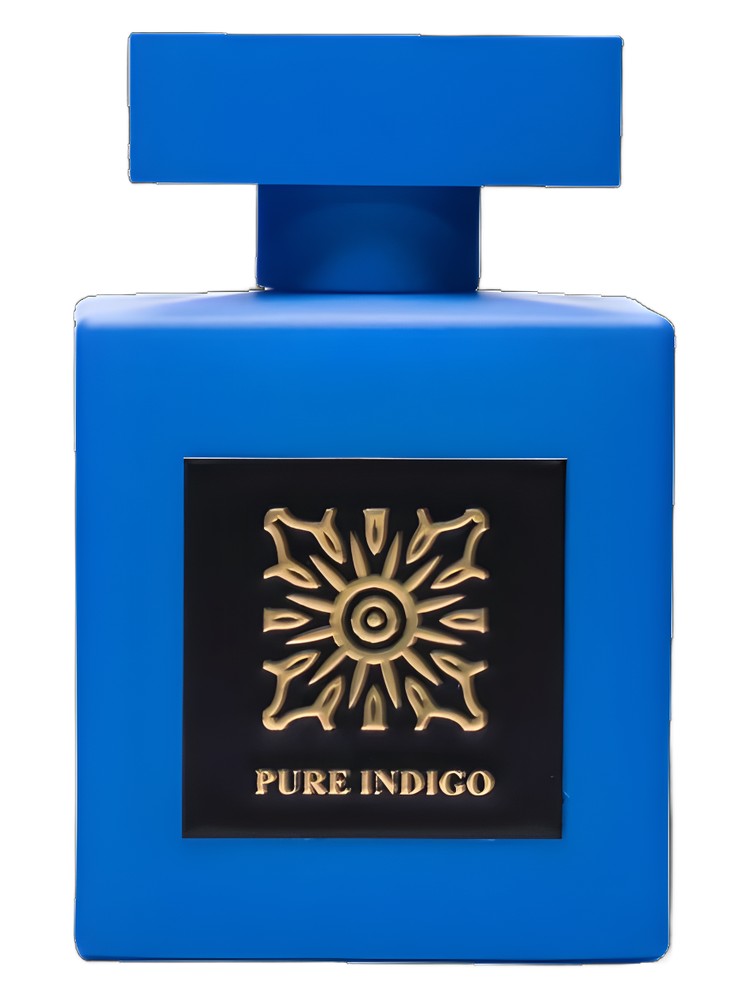 Pure Indigo – Camille Rochelle