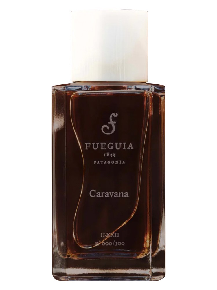 Caravana – Fueguia 1833