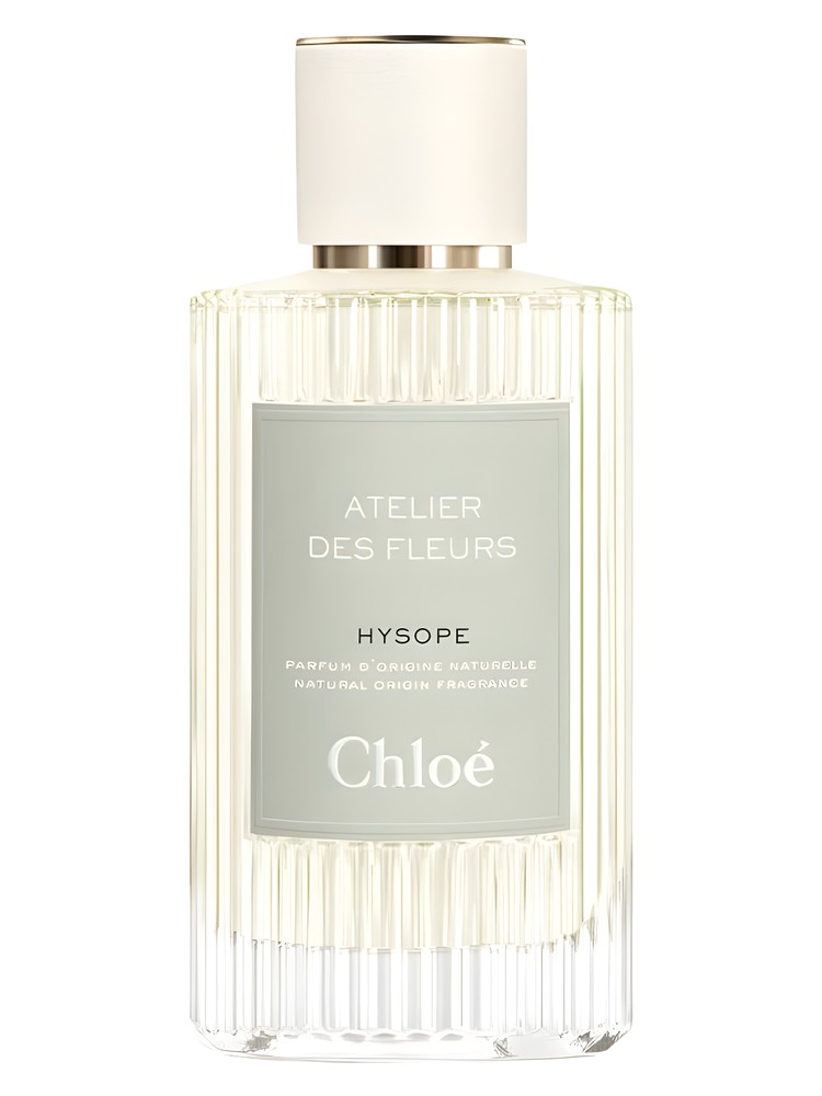 Hysope – Chloé