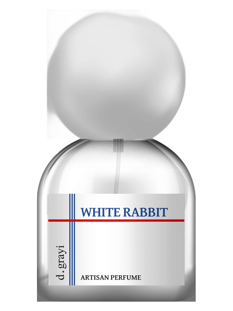 White Rabbit – d.grayi