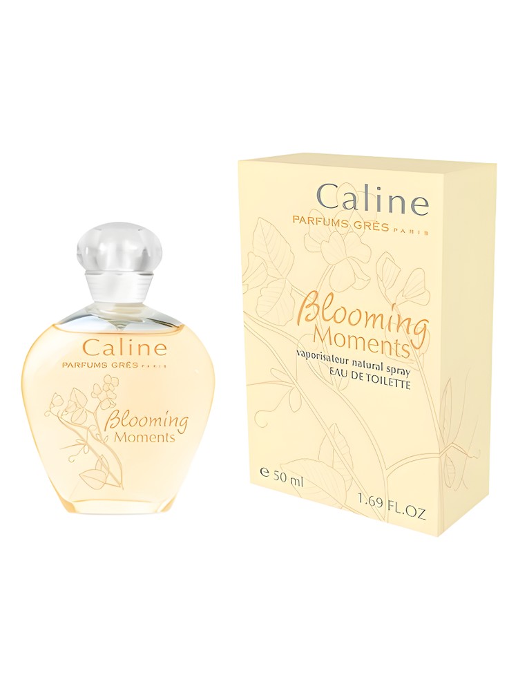 Caline Blooming Moments – Grès