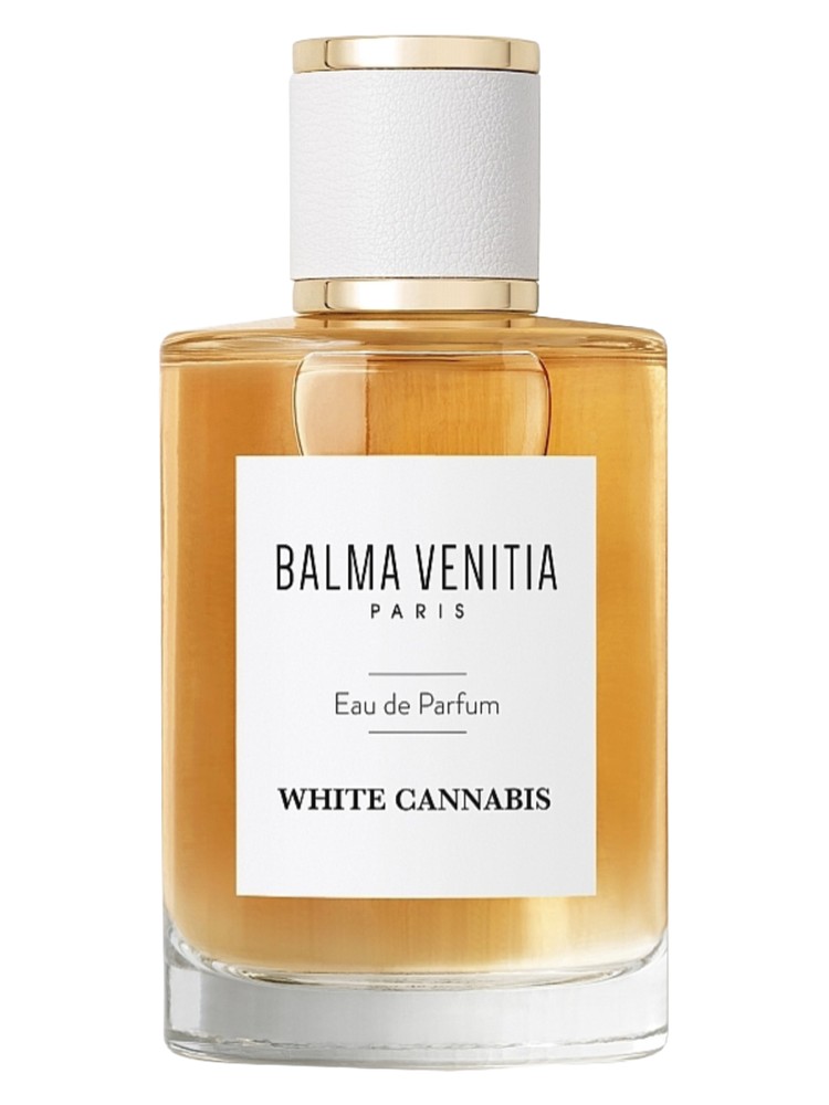 White Cannabis – Balma Venitia