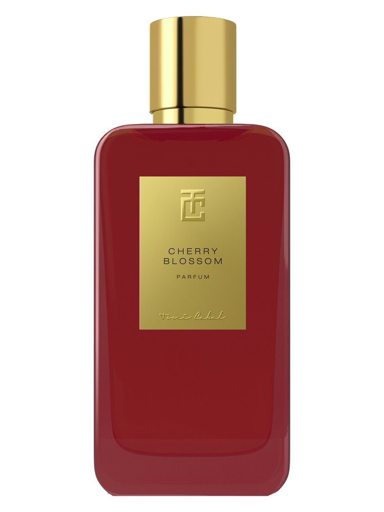 Cherry Blossom – Toni Cabal