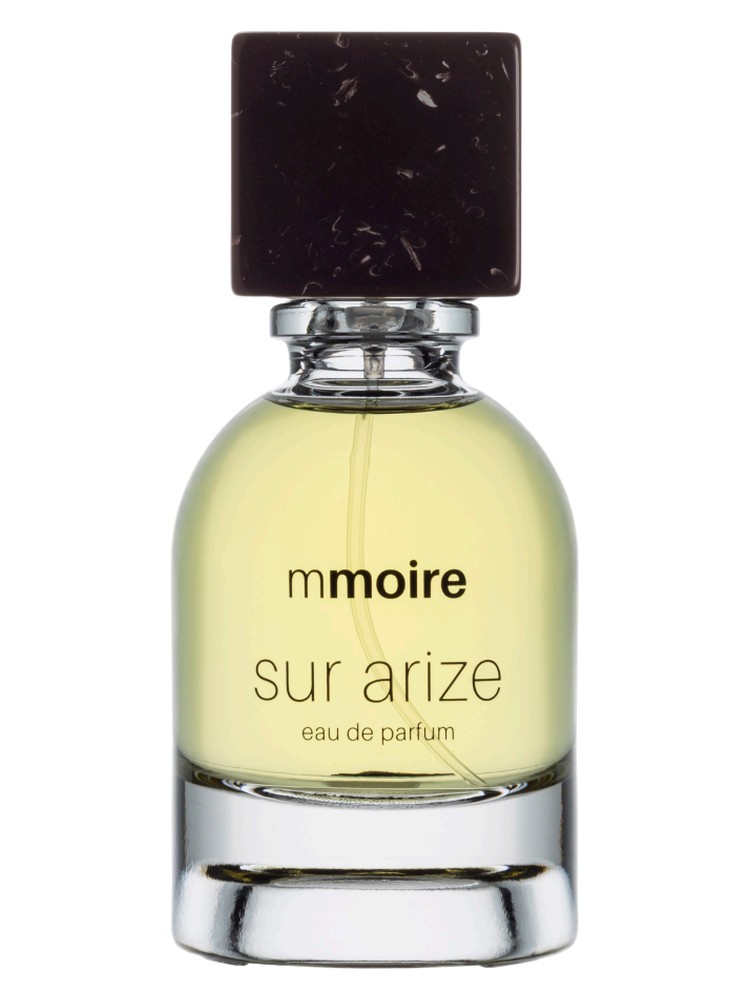 Sur Arize – Mmoire