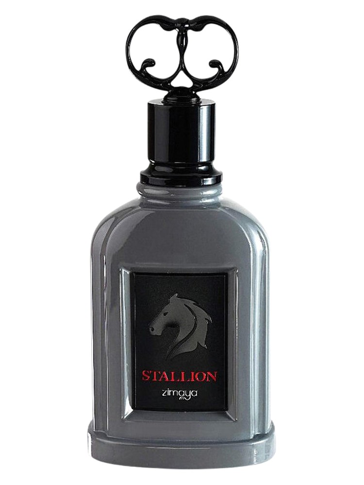 Stallion – Zimaya
