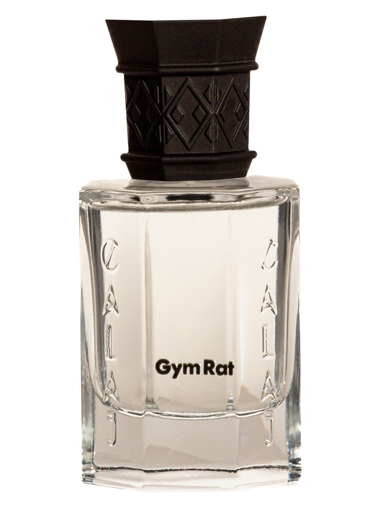 Gym Rat – Calaj