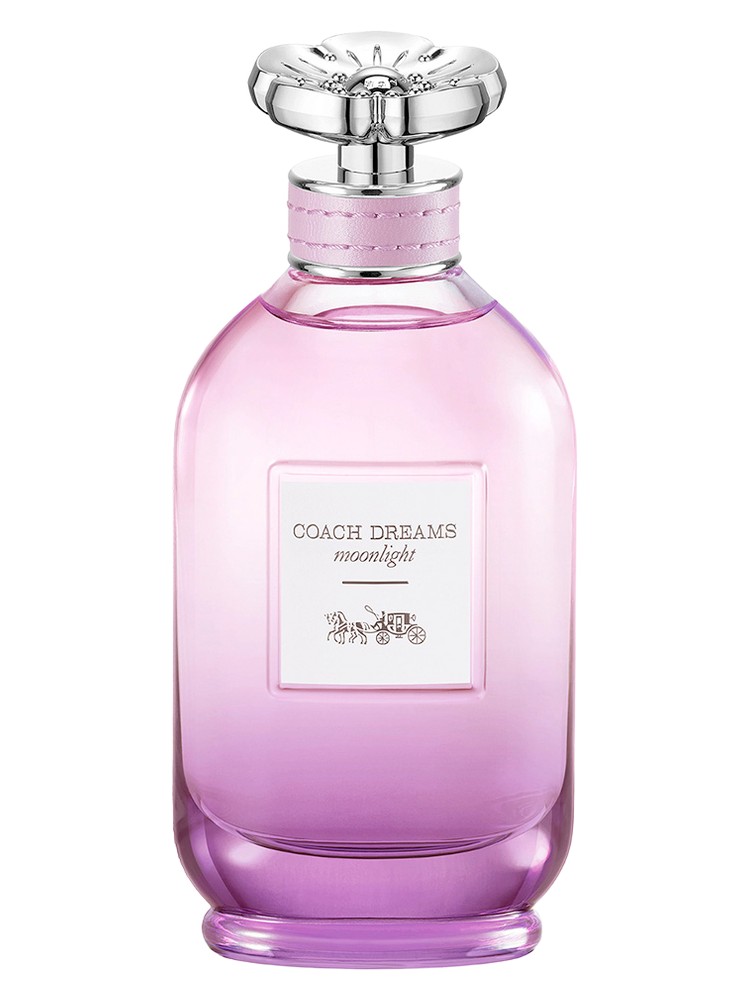 Coach Dreams Moonlight – Coach