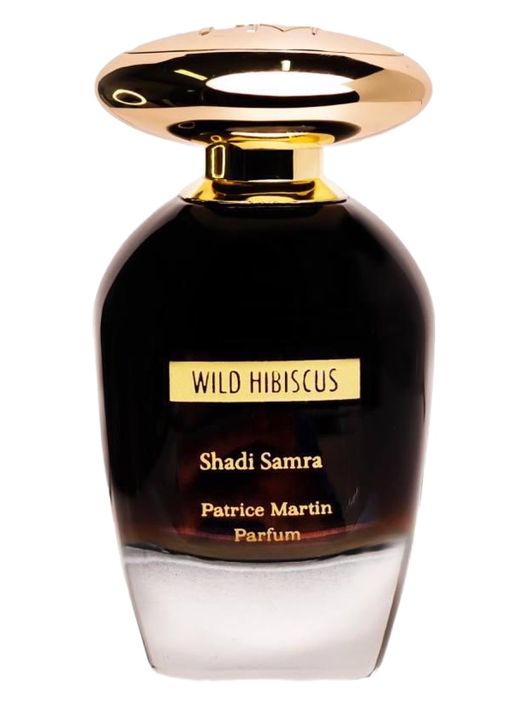 Wild Hibiscus – Patrice Martin