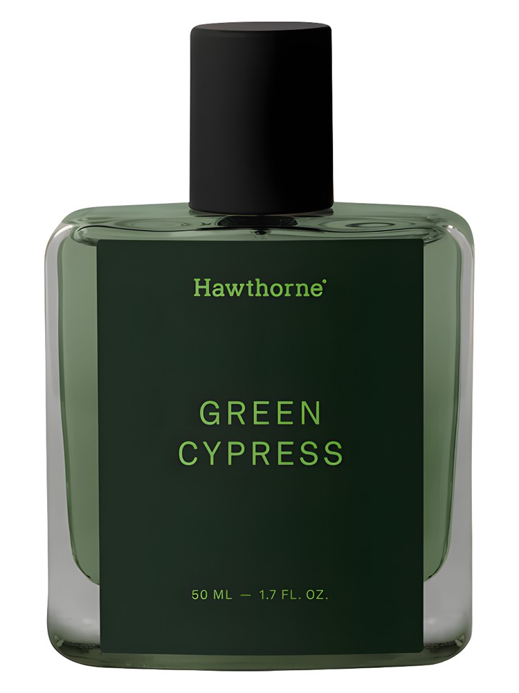 Green Cypress – Hawthorne