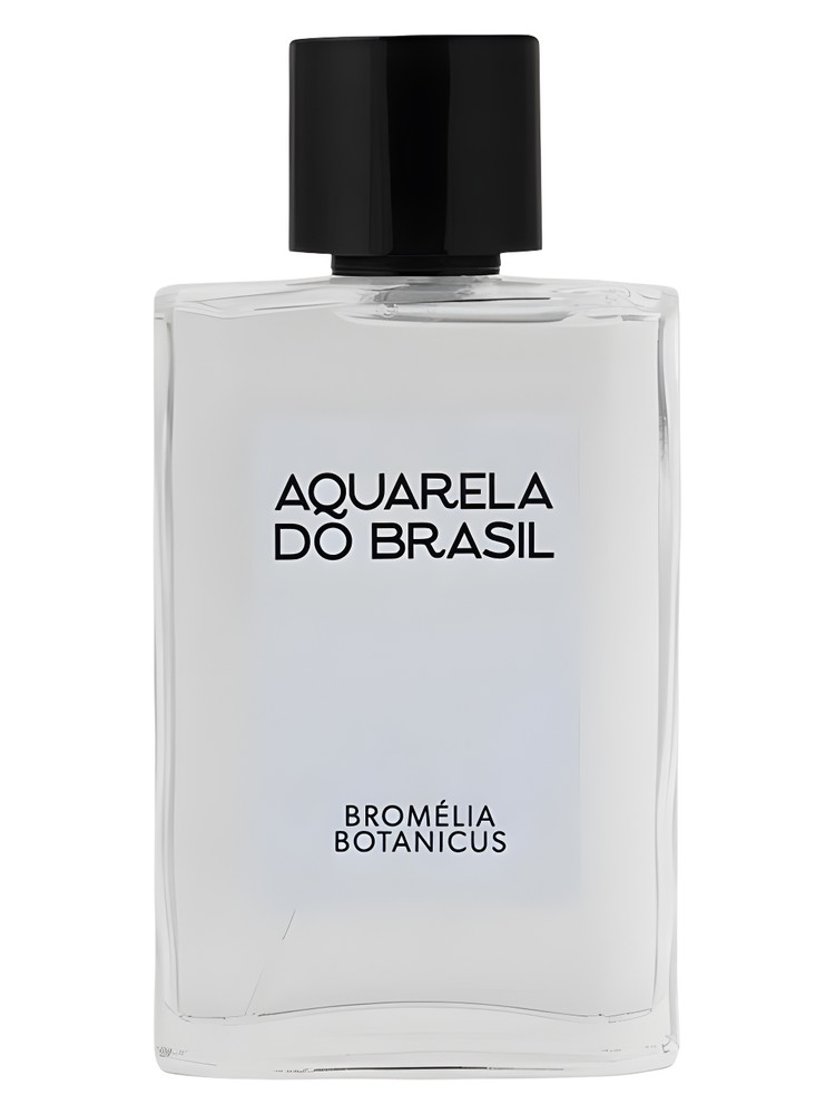 Bromélia Botanicus – Aquarela do Brasil