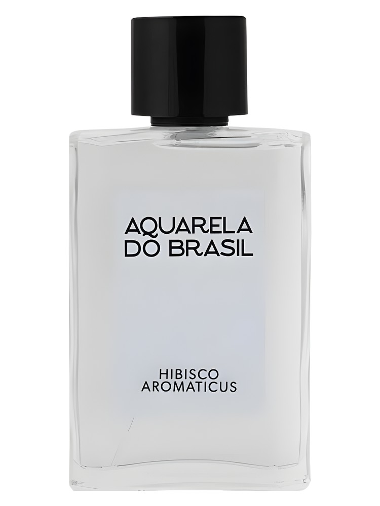 Hibisco Aromaticus – Aquarela do Brasil