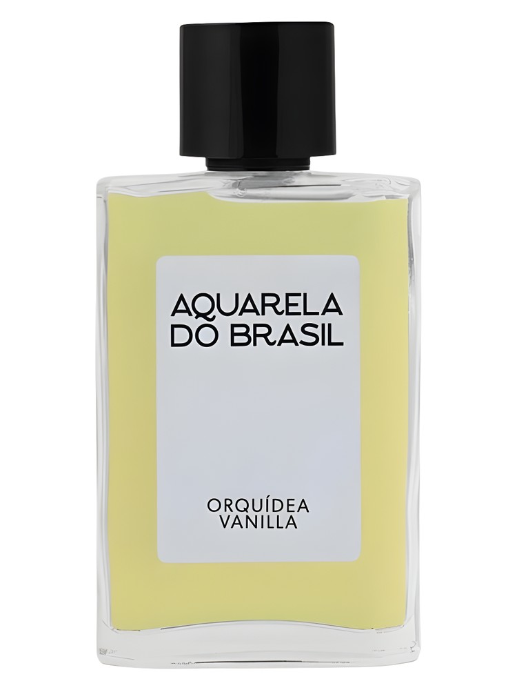 Orquídea Vanilla – Aquarela do Brasil