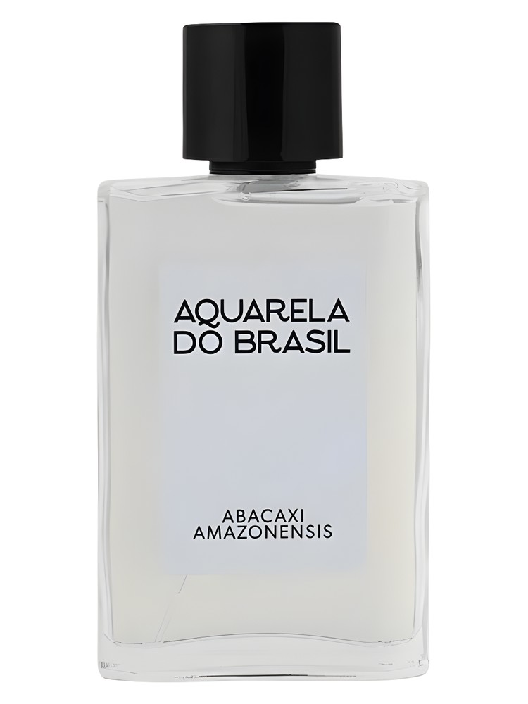 Abacaxi Amazonensis – Aquarela do Brasil