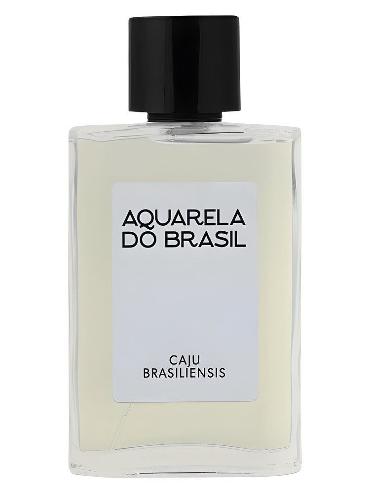 Caju Brasiliensis – Aquarela do Brasil