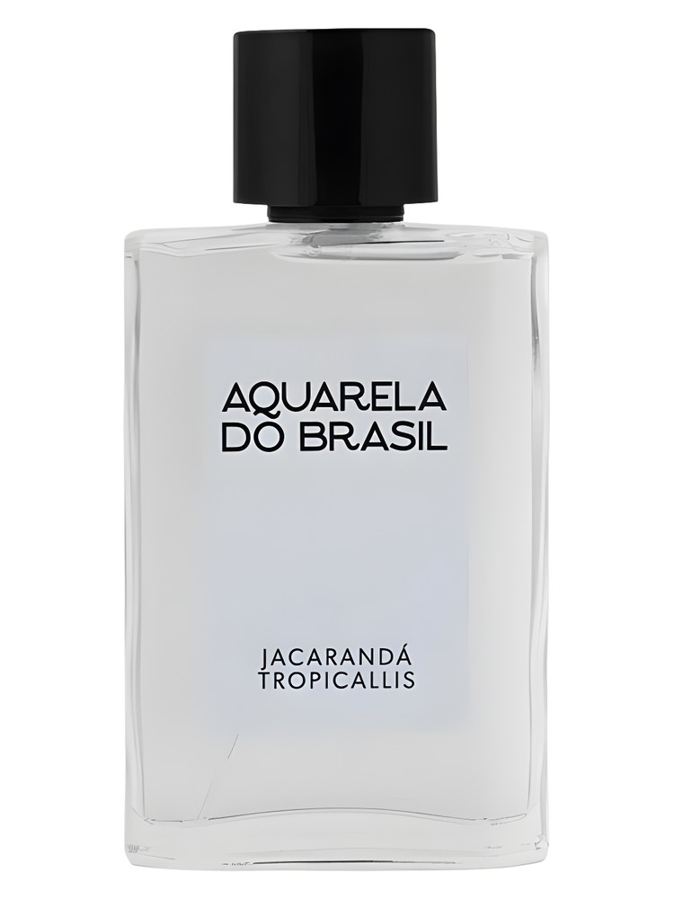 Jacarandá Tropicallis – Aquarela do Brasil
