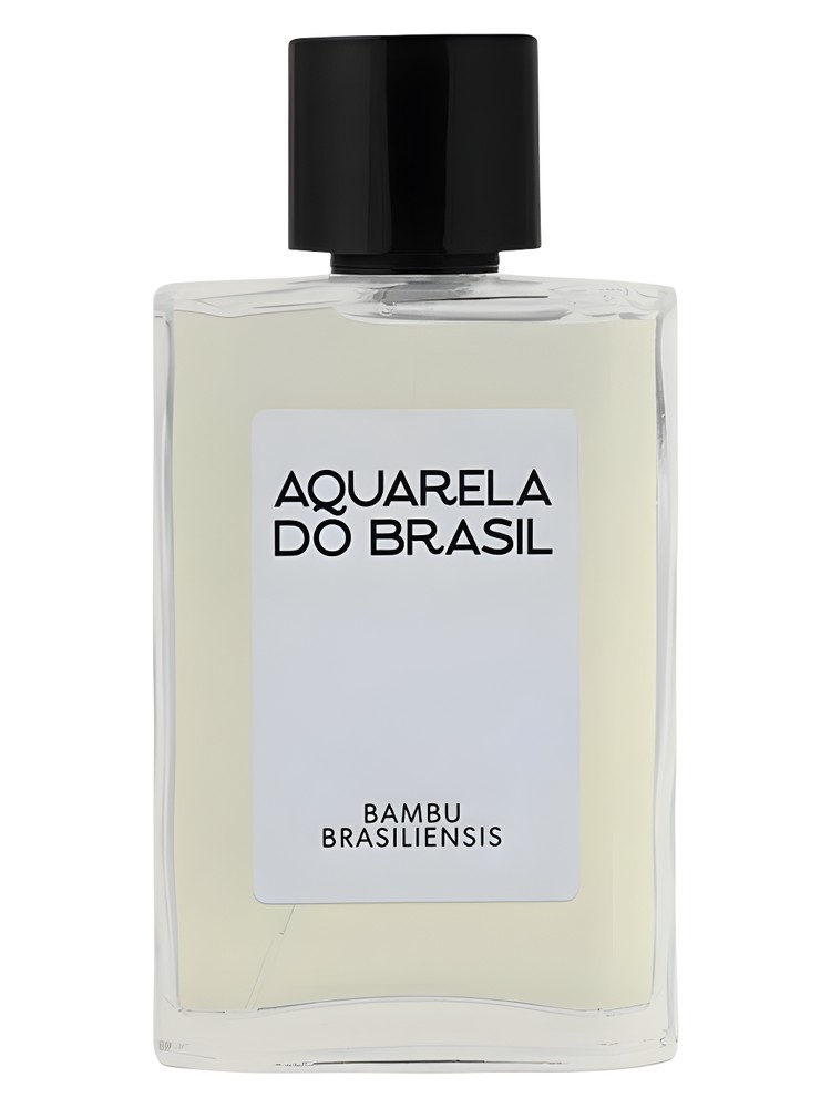 Bambu Brasiliensis – Aquarela do Brasil