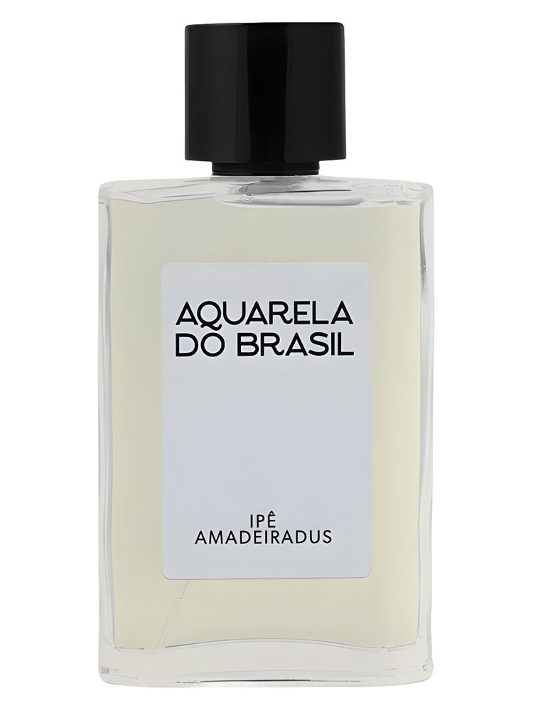 Ipê Amadeiradus – Aquarela do Brasil