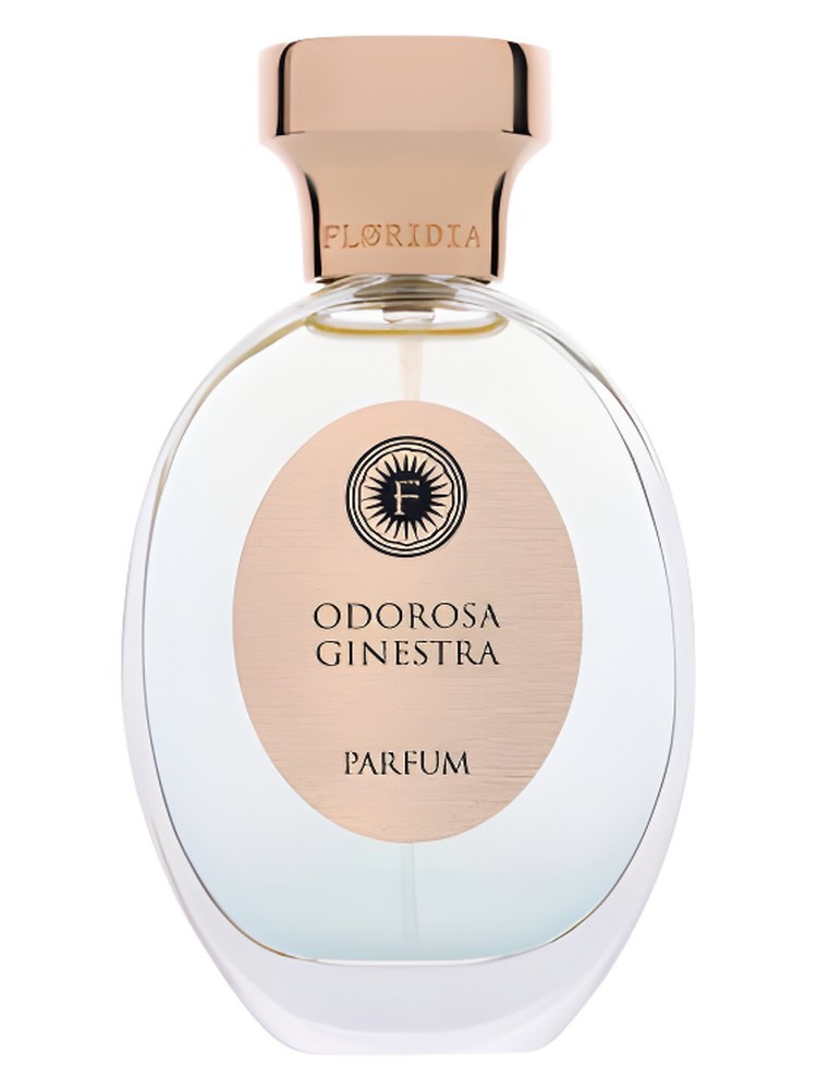 Odorosa Ginestra – Floridia Parfum