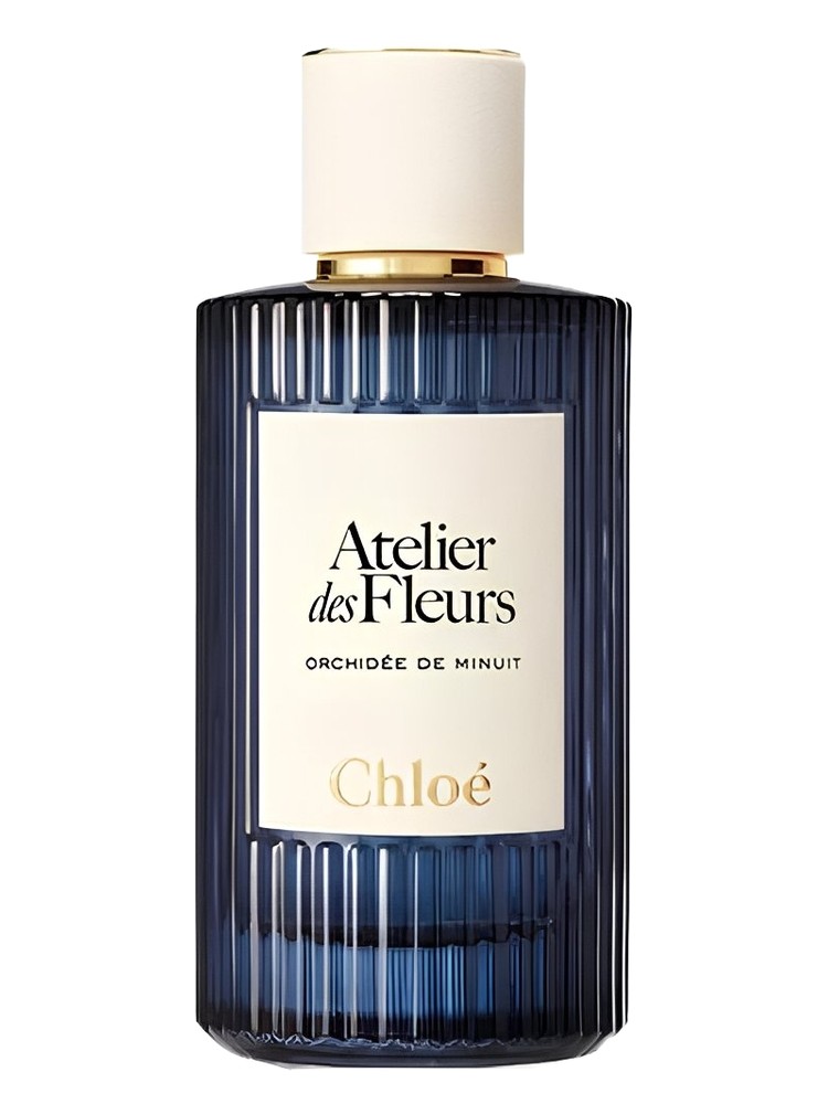 Orchidée de Minuit – Chloé