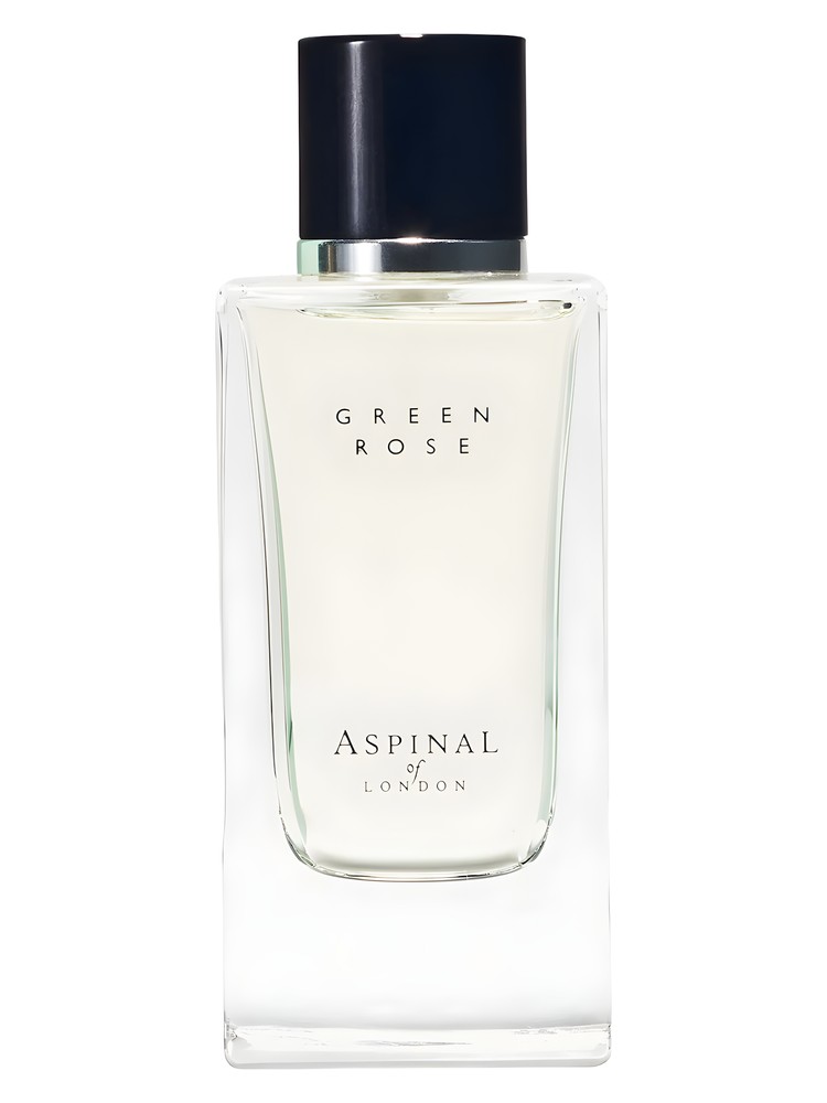 Green Rose – Aspinal of London