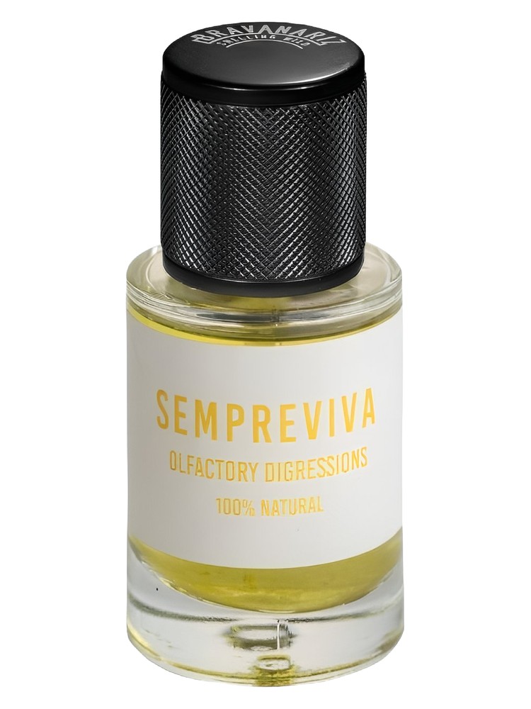 Sempreviva – Bravanariz