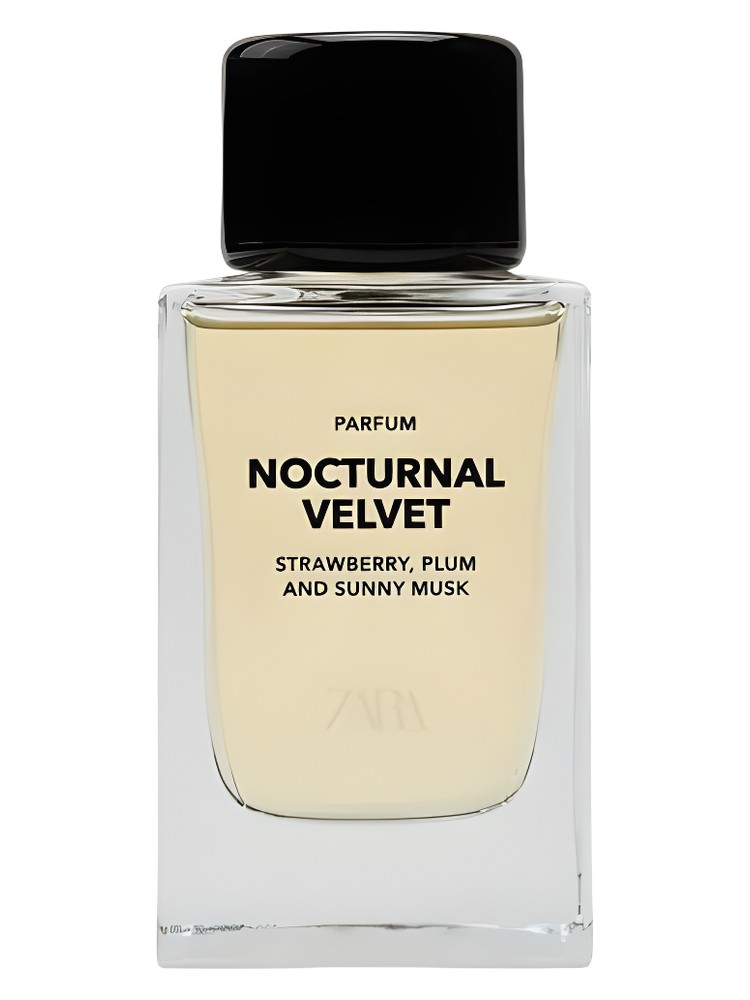 Nocturnal Velvet – Zara