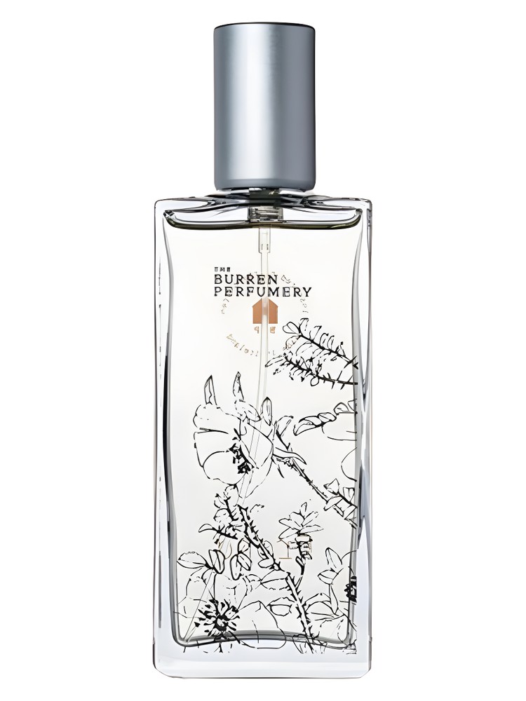 Frond – Burren Perfumery