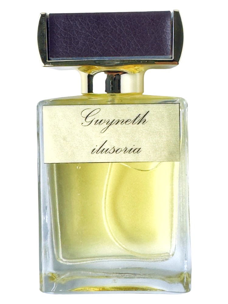 Gwineth ilusoria – Kamila Robinson