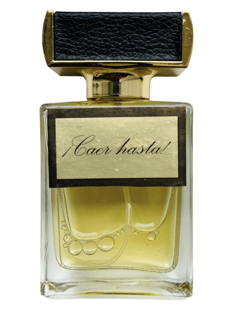 Caer hasta – Kamila Robinson