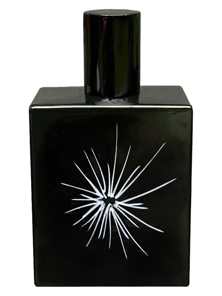 X-Ray – Space Fluid