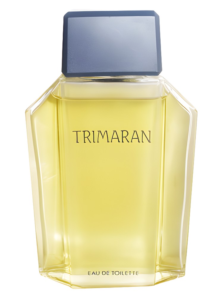 Trimaran 1986 – Yves Rocher