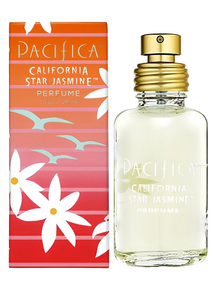 California Star Jasmine – Pacifica