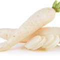 Daikon radish