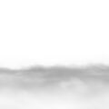 Fog